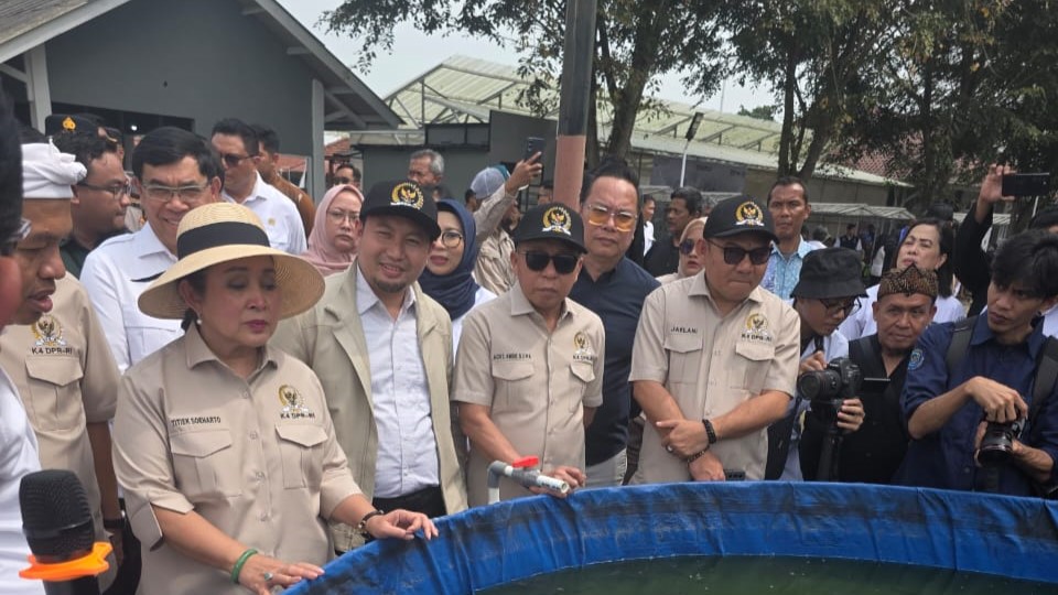 Petani Muda,Regenerasi Petani,Rahmat Saleh,Komisi IV DPR